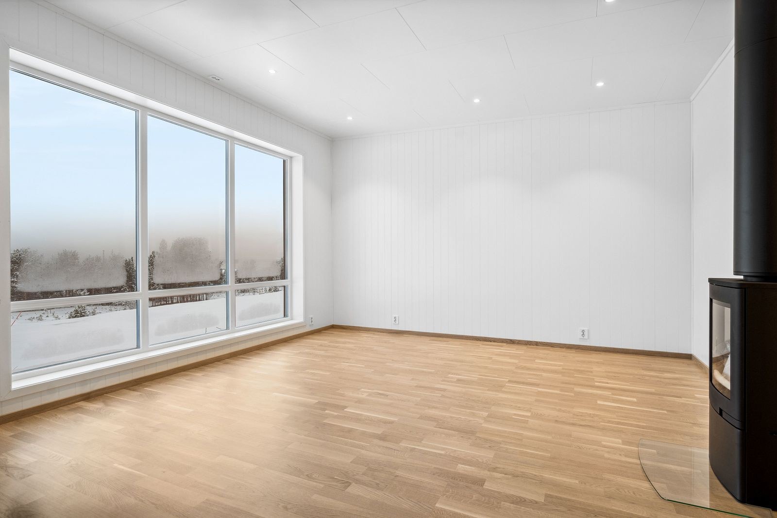 Montert vedovn i stuen Galleribilde