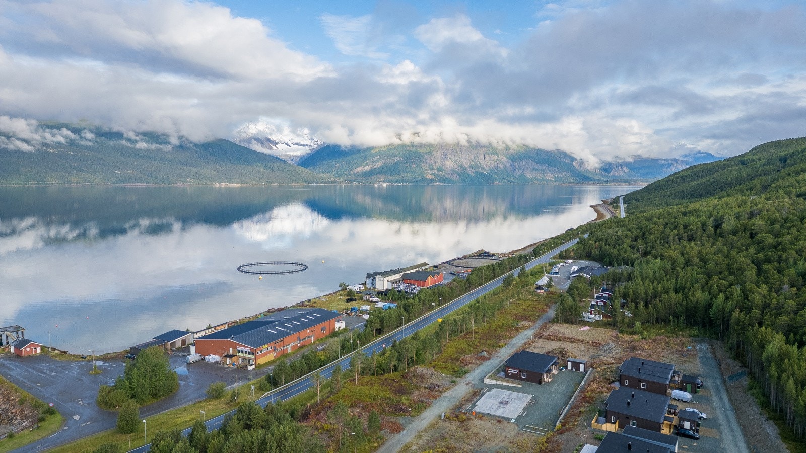 Dronebilde av nærområdet Galleribilde