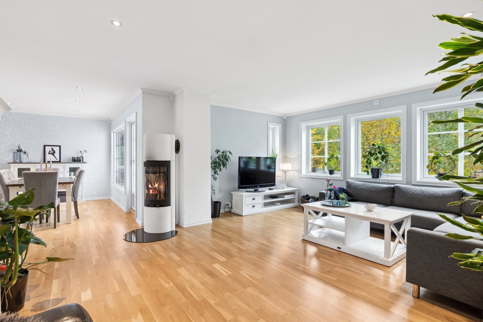 Her er det hyggelig å invitere gjester til middager og samle familien til filmkvelder. Galleribilde