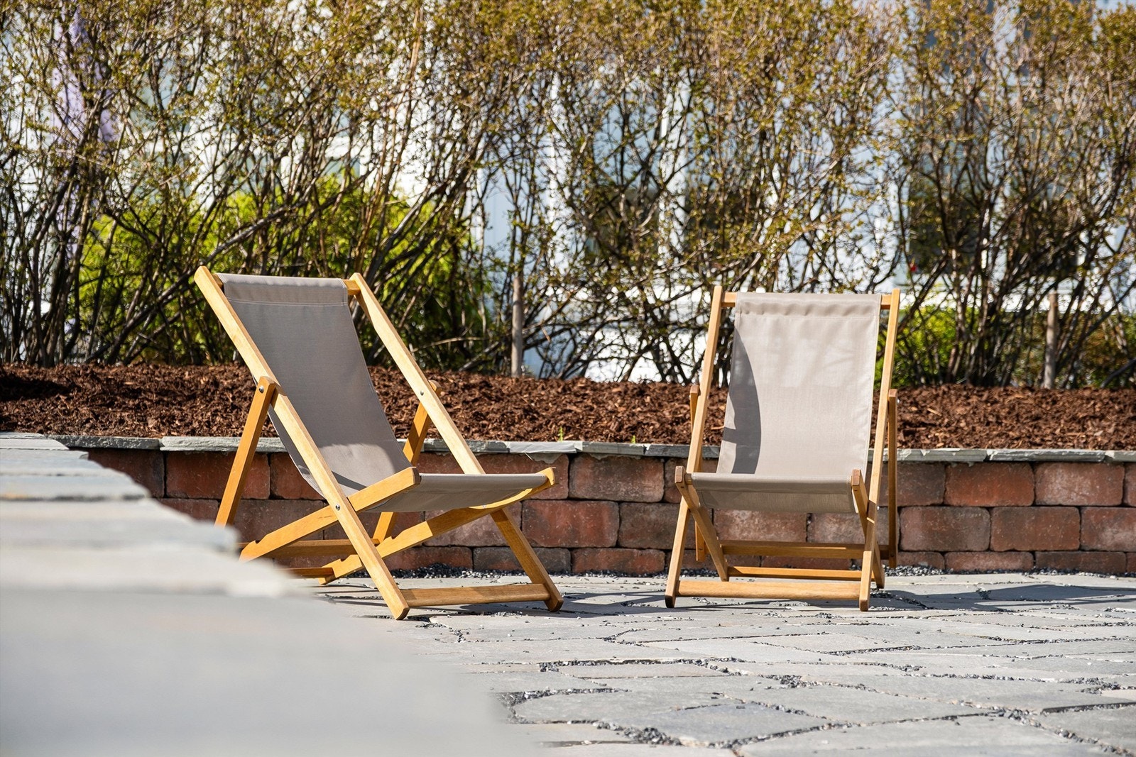 Veletablert hekk i vest fylles fra utpå våren av grønne, fortettende blader. Galleribilde