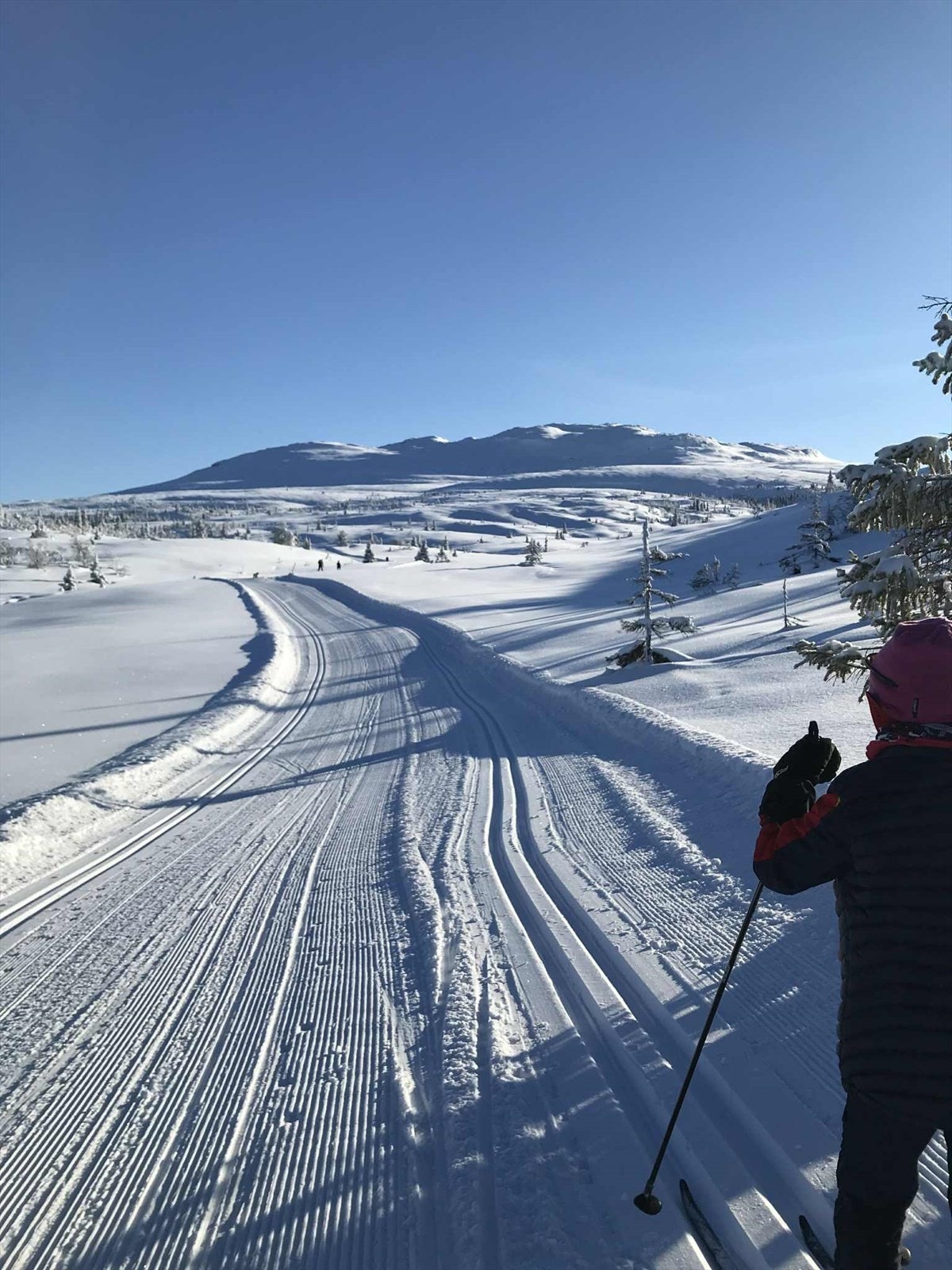 Sandvasseter vinterstid (privat bilde tatt av selger). Galleribilde
