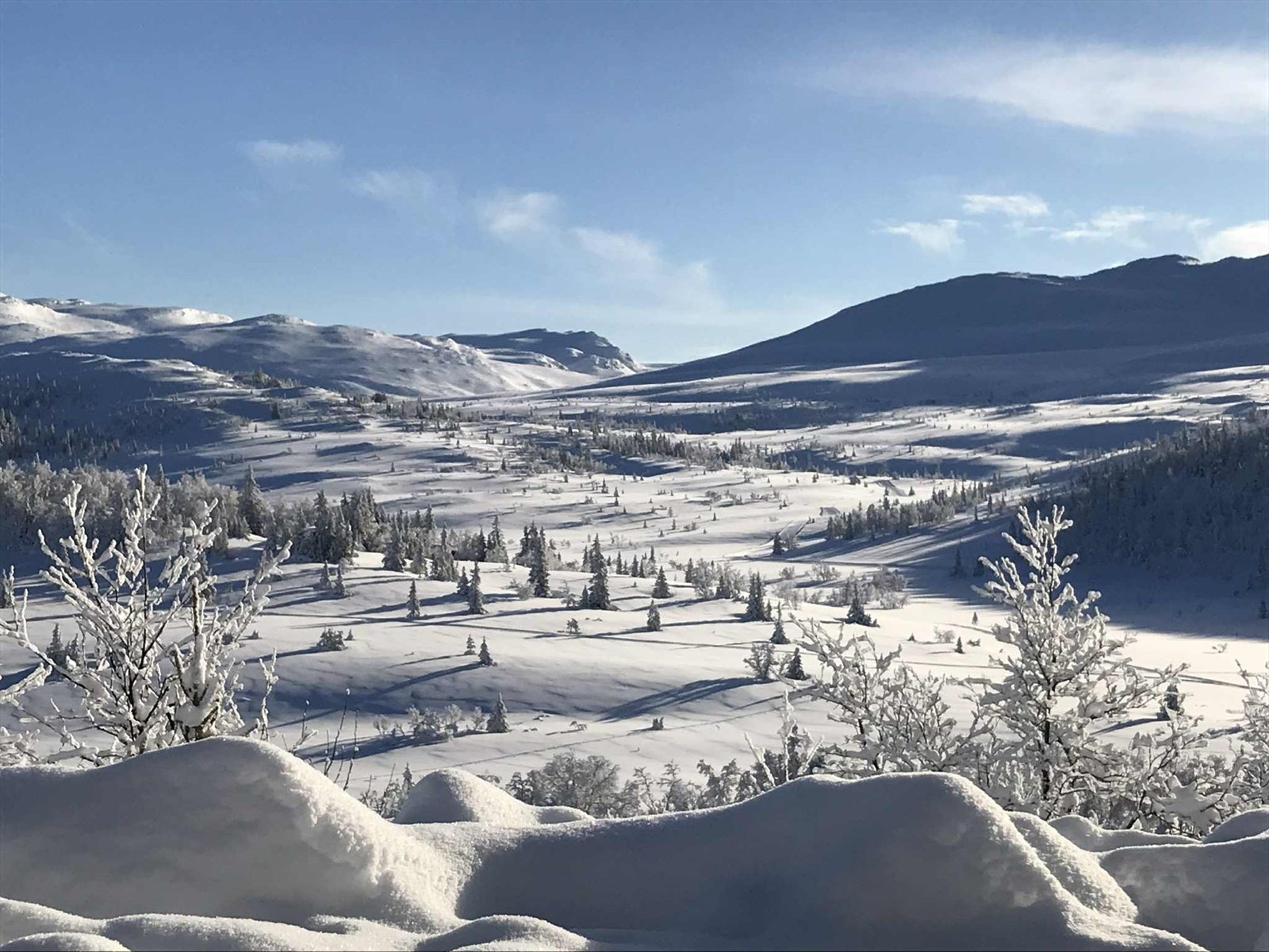 Sandvasseter vinterstid (privat bilde tatt av selger). Galleribilde