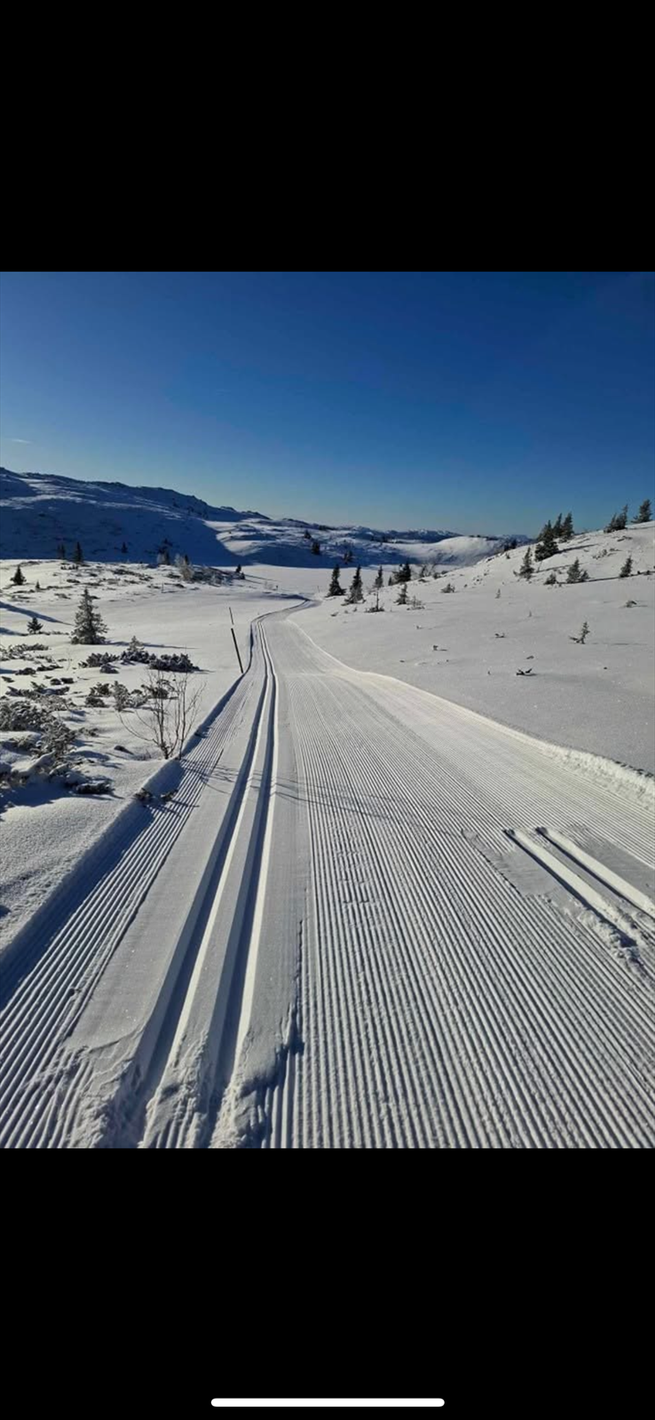 Sandvasseter vinterstid (privat bilde tatt av selger). Galleribilde