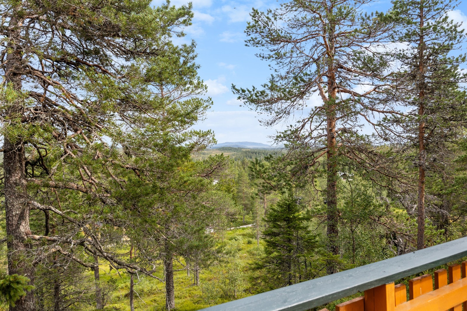 Nydelig utsyn i vakre omgivelser. Galleribilde