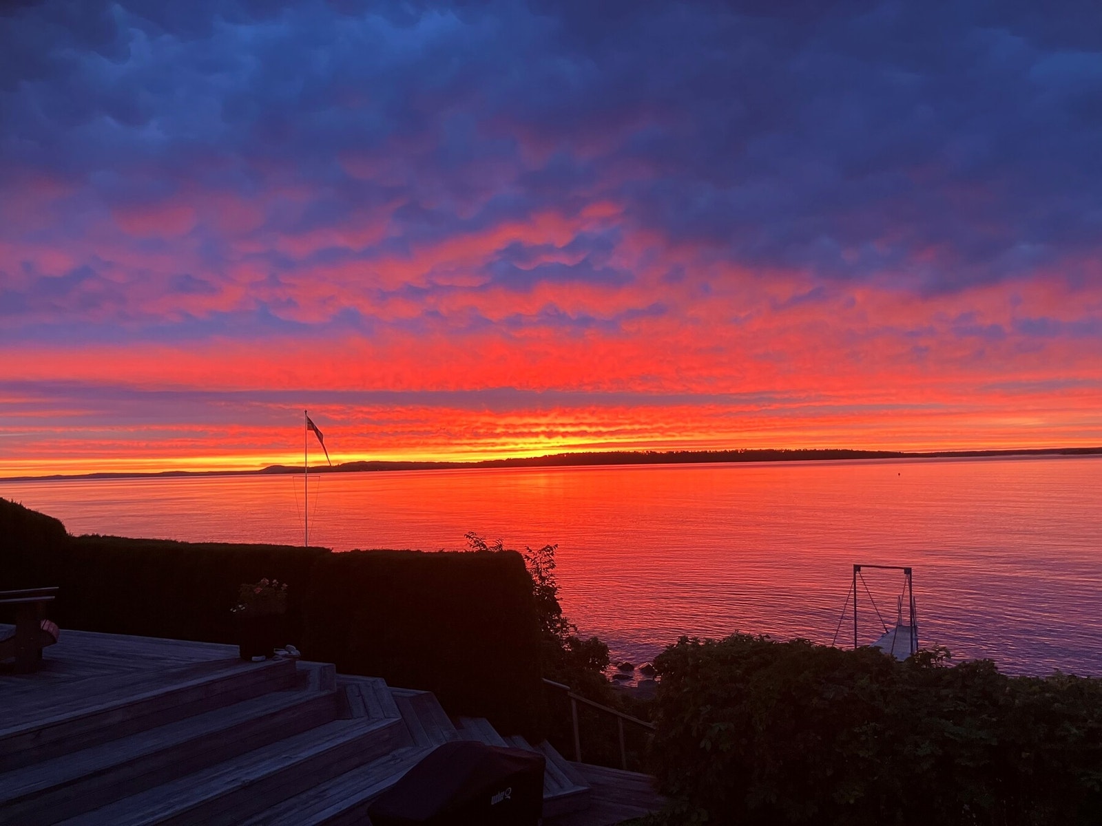 Selgers bilde Galleribilde