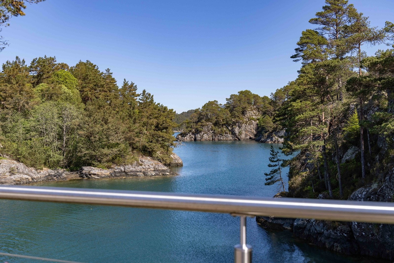 Fra denne terrassen ser du rett ned på standen med kamskjell helt opp til vannkanten. Galleribilde