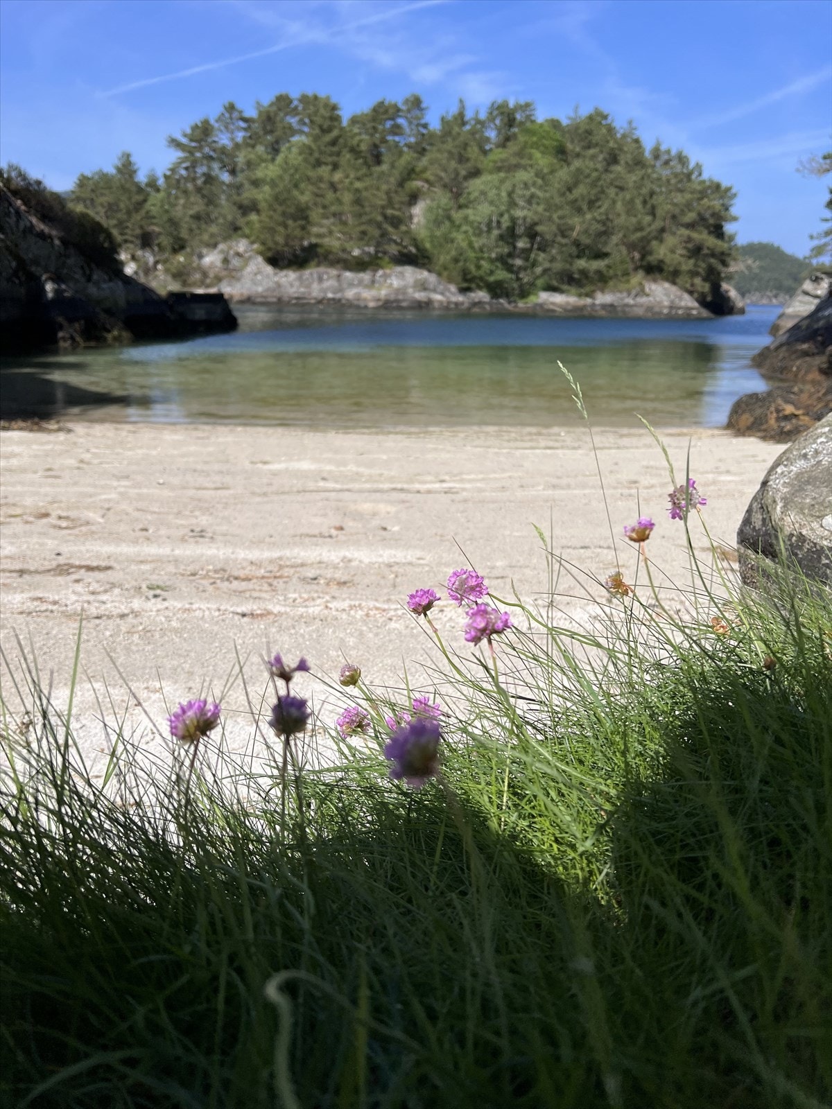 Øyen er omkranset klart vann og flotte sandstrender, der du kan finne kamskjell helt opp i vannkanten - et lite paradis for både naturelskere og matentusiaster. Galleribilde