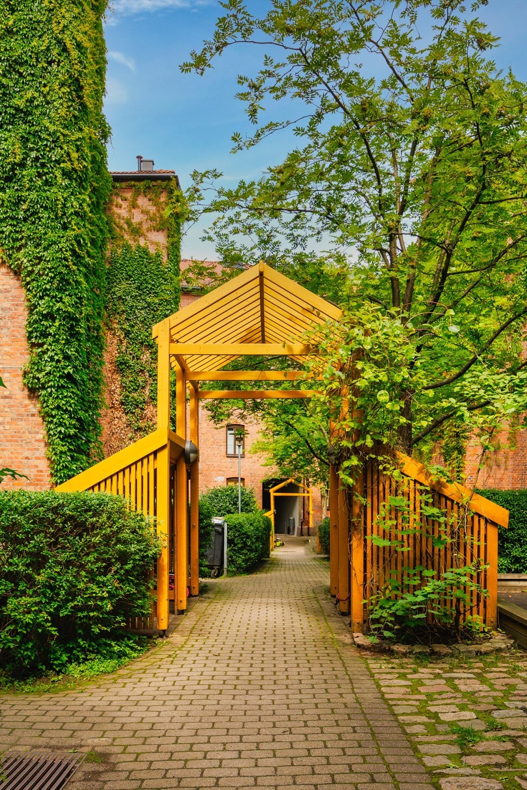 Koselig bakgård med pene uteområder. Galleribilde