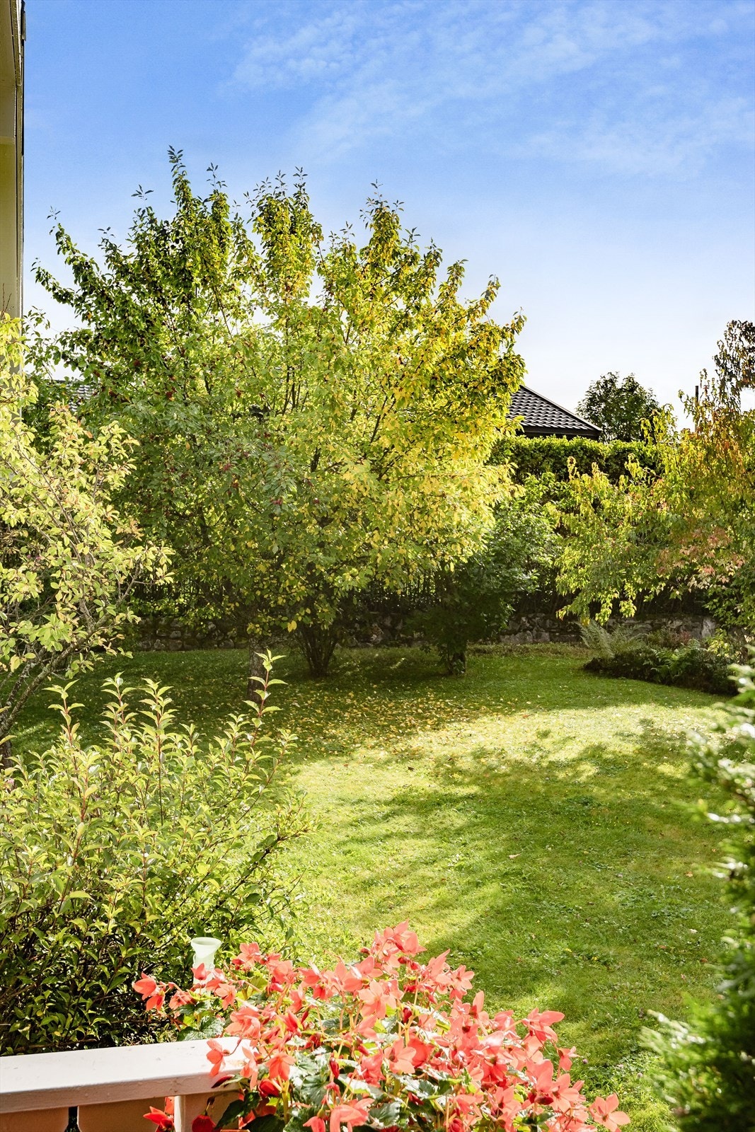 Hagen er en stor, grønn og skjermet oase - perfekt for privatliv og ro. Galleribilde