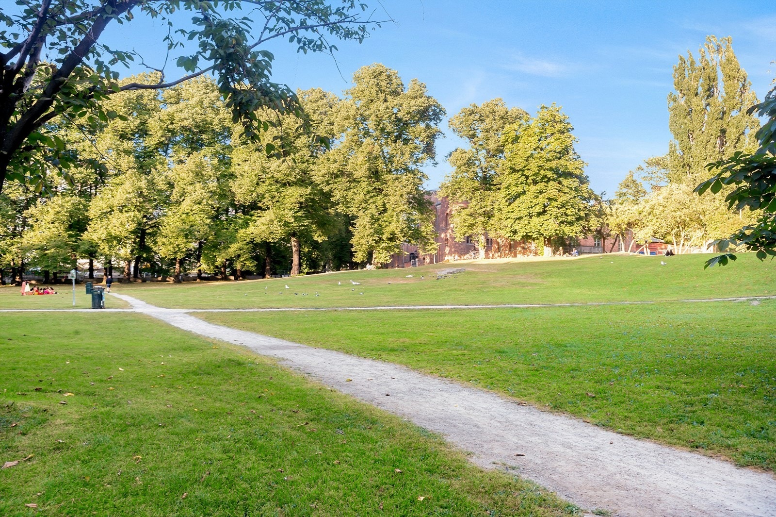 I samme kvartal ligger også den historiske og frodige Botsparken, perfekt for rolige spaserturer eller en kaffepause i solen. Galleribilde