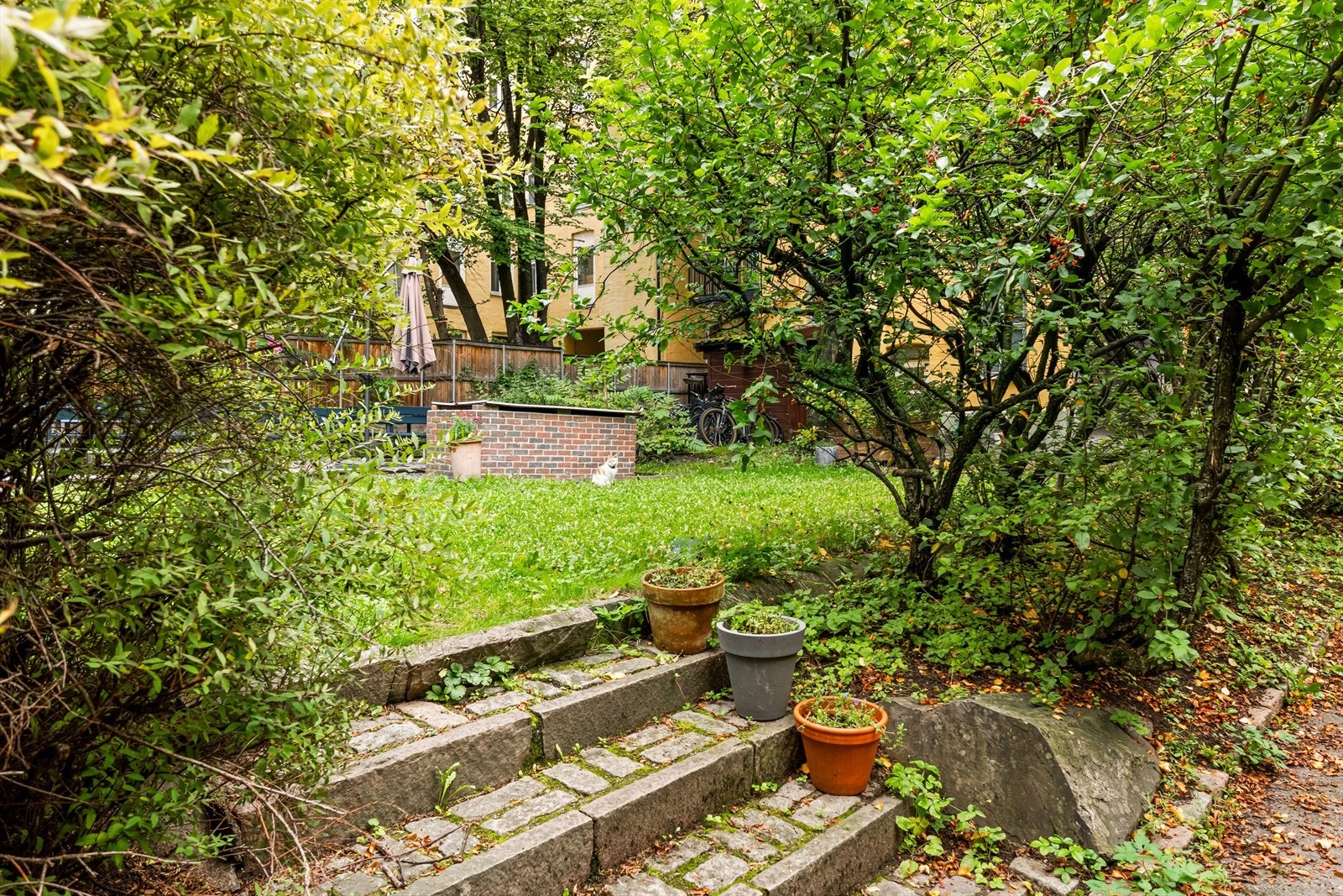 Bakgård. Galleribilde