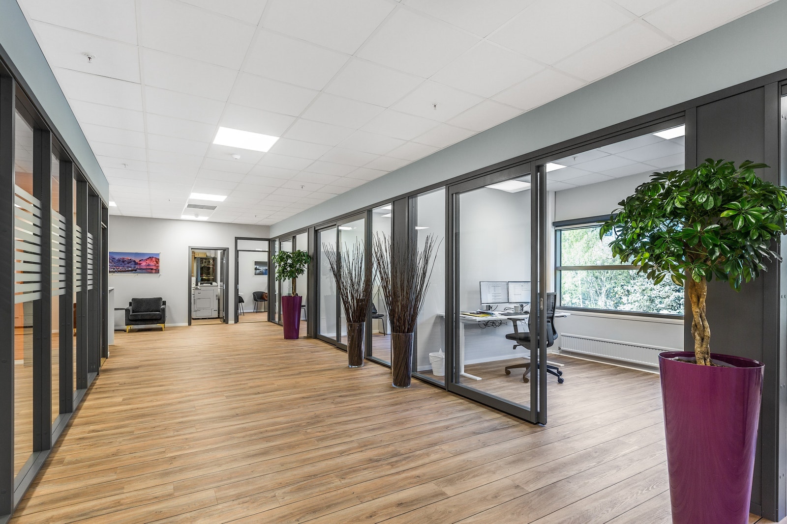 Eksempelbilde fra annen leietaker Galleribilde