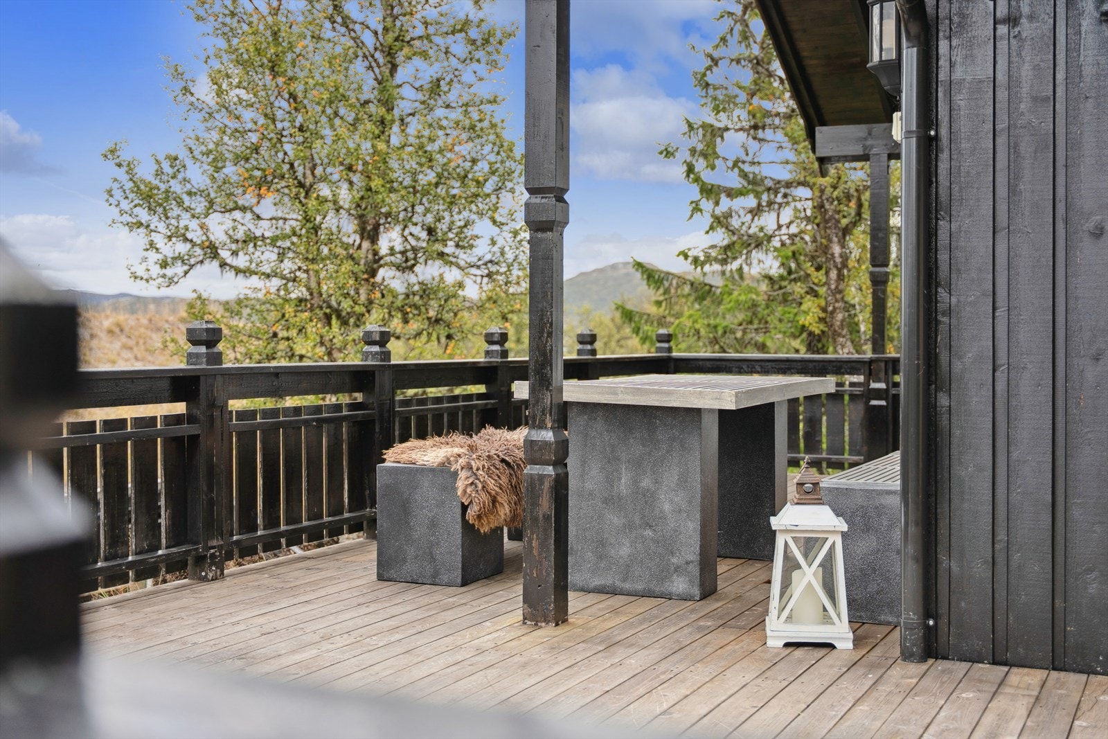 Flere_bilder Galleribilde