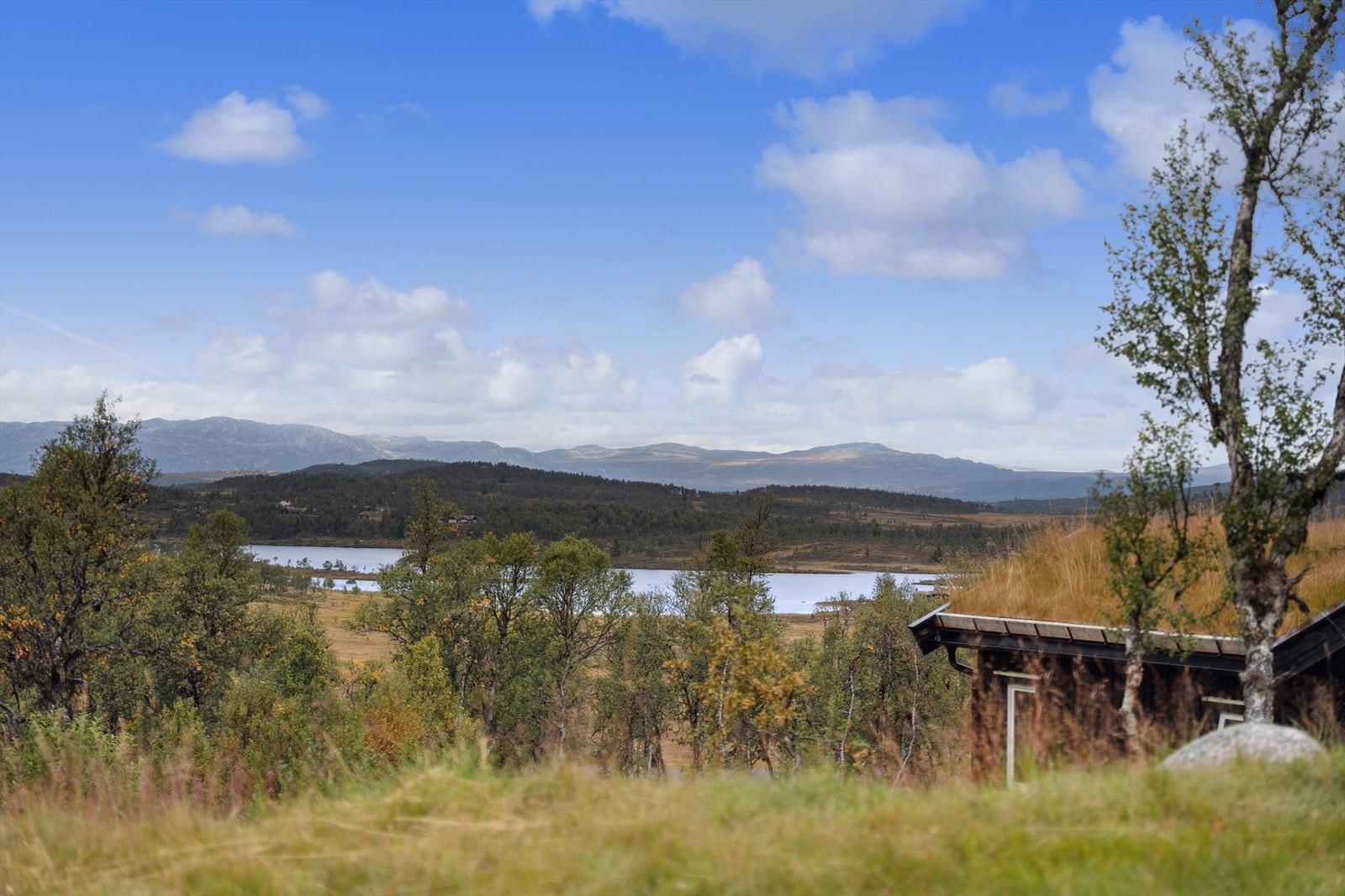 Eiendommen ligger i nær heisanlegg, skiløyper og friområder.
Her har du gangavstand til Vierli turistsenter med kafe, skiutleie og sosiale arrangement, og direkte tilgang til populære turstier sommer som vinter. Galleribilde