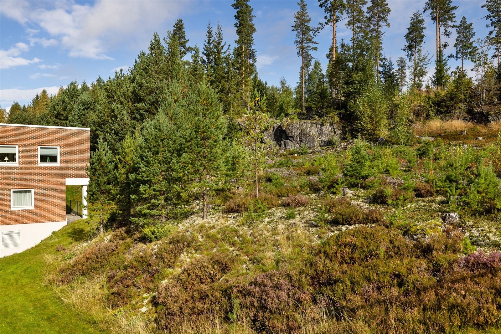 Området er rolig og barnevennlig med lite gjennomgangstrafikk. Kort veg til skogen (Svartholtet) med turmuligheter sommer som vinter. Oppkjørte skispor kun 100 meter fra utgangsdøra. Galleribilde