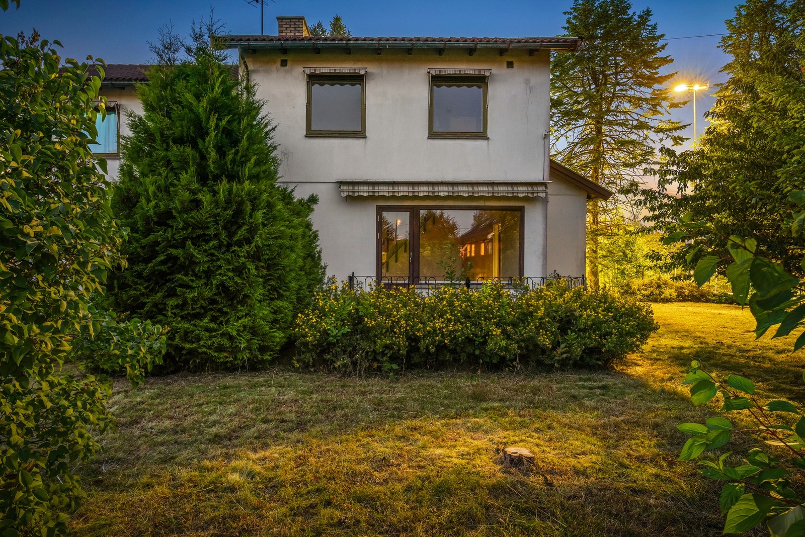 Kveldsstemning i hagen Galleribilde