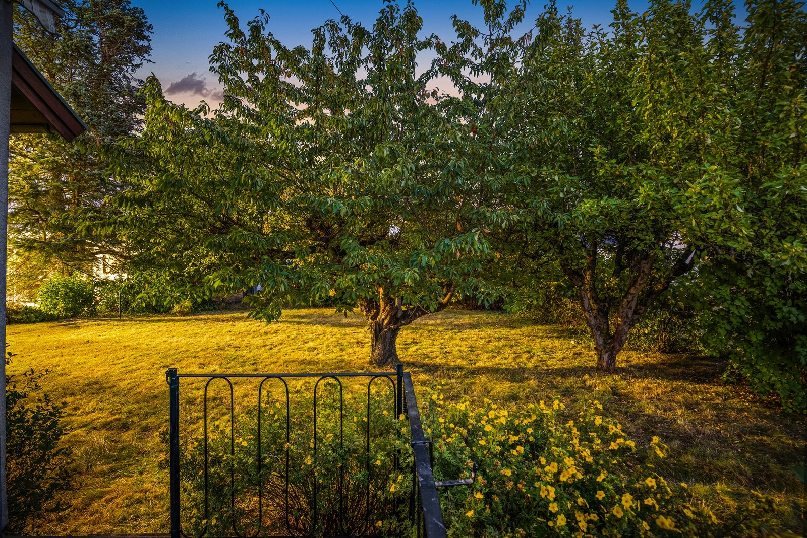 Sameiets felles tomt er på 1003 kvm Galleribilde