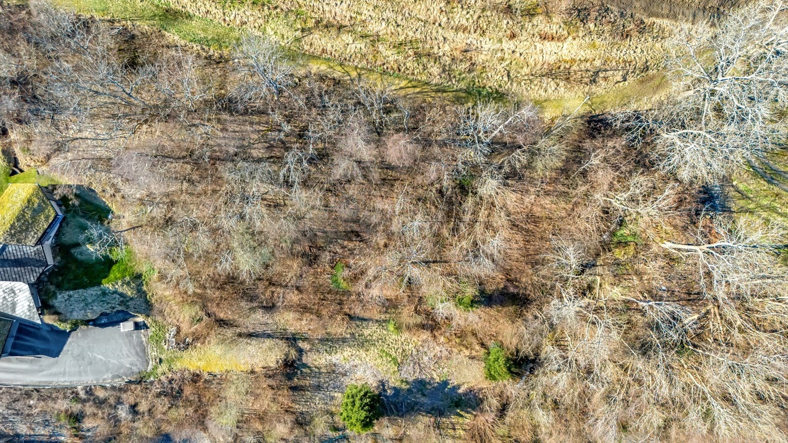 - Her får du muligheten til å bosette deg landlig og med kort vei til alt du skulle trenge i hverdagen - Galleribilde