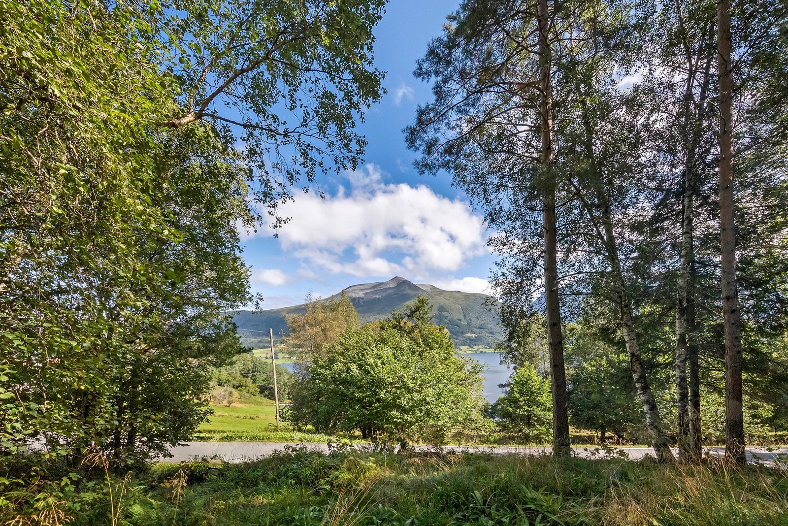 Utsikt Galleribilde
