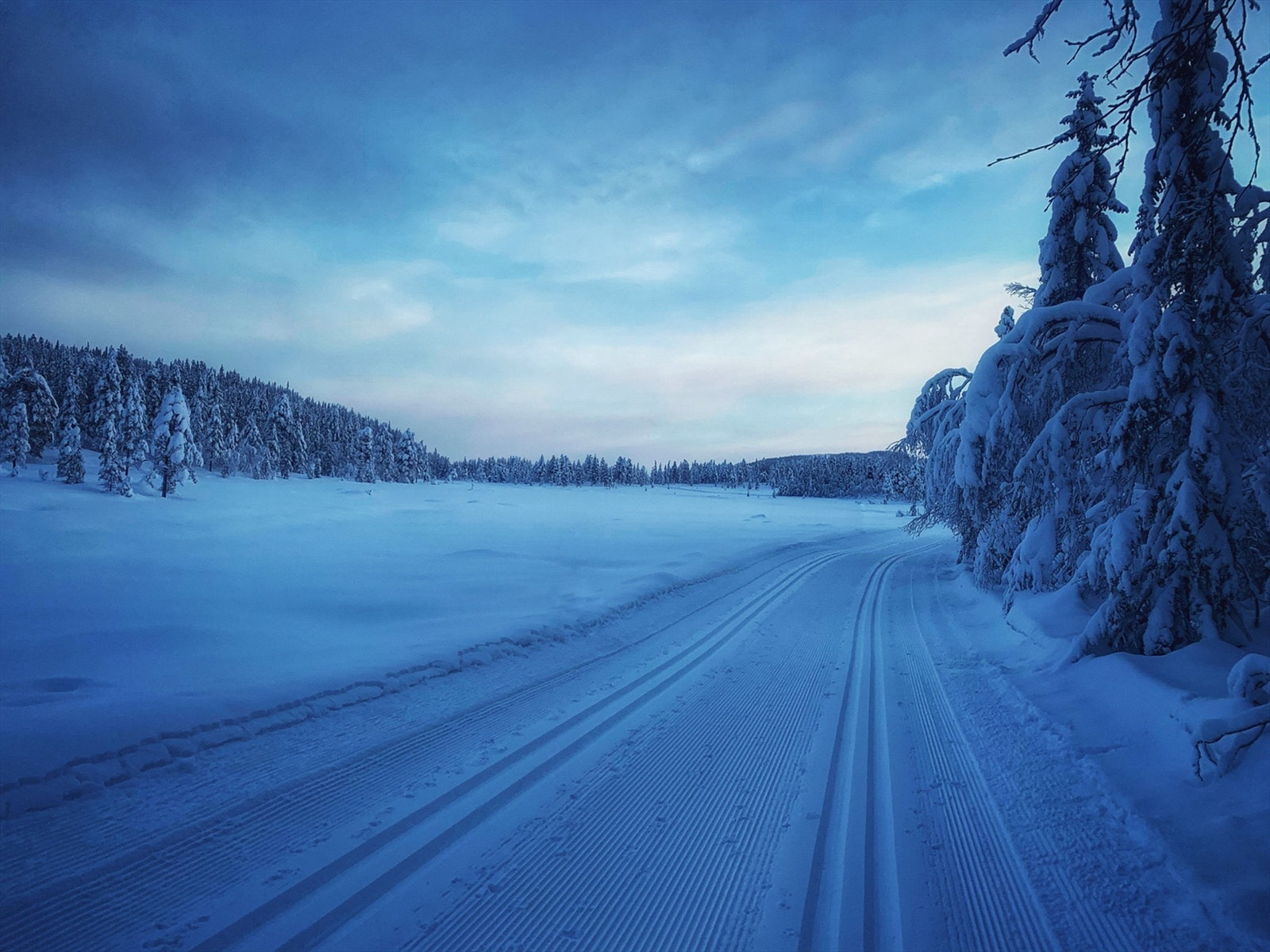 Hytteområdet ligger like ved der skiløypenettet til Vikerfjell Skiløyper (ca. 80km) og Nes sti- og løypeforening. Galleribilde