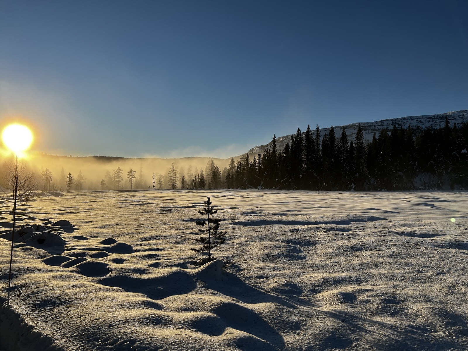 Flotte forhold på vinterstid! En idyllisk plass sommer som vinter. Galleribilde