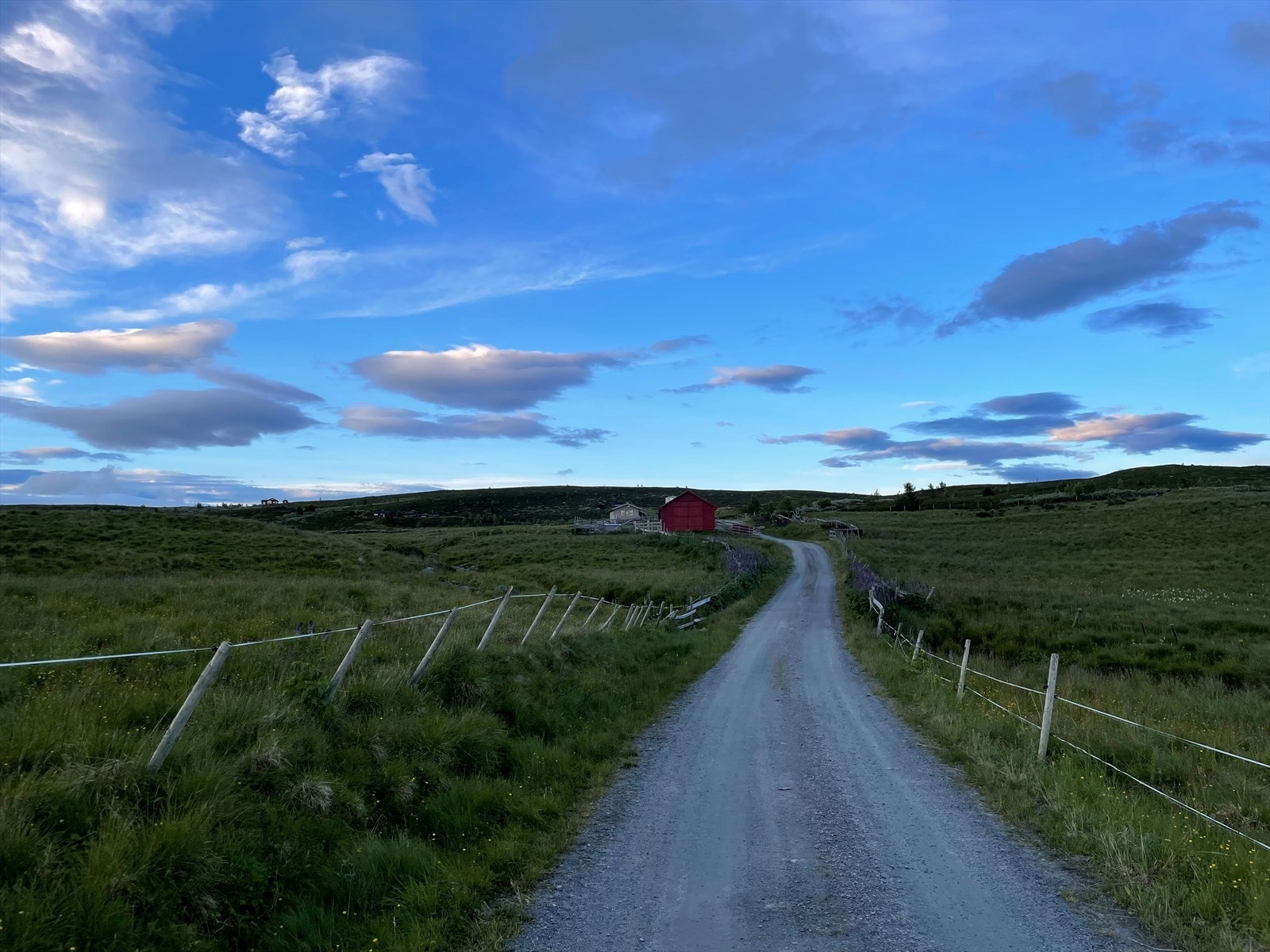 Selgers bilde Galleribilde