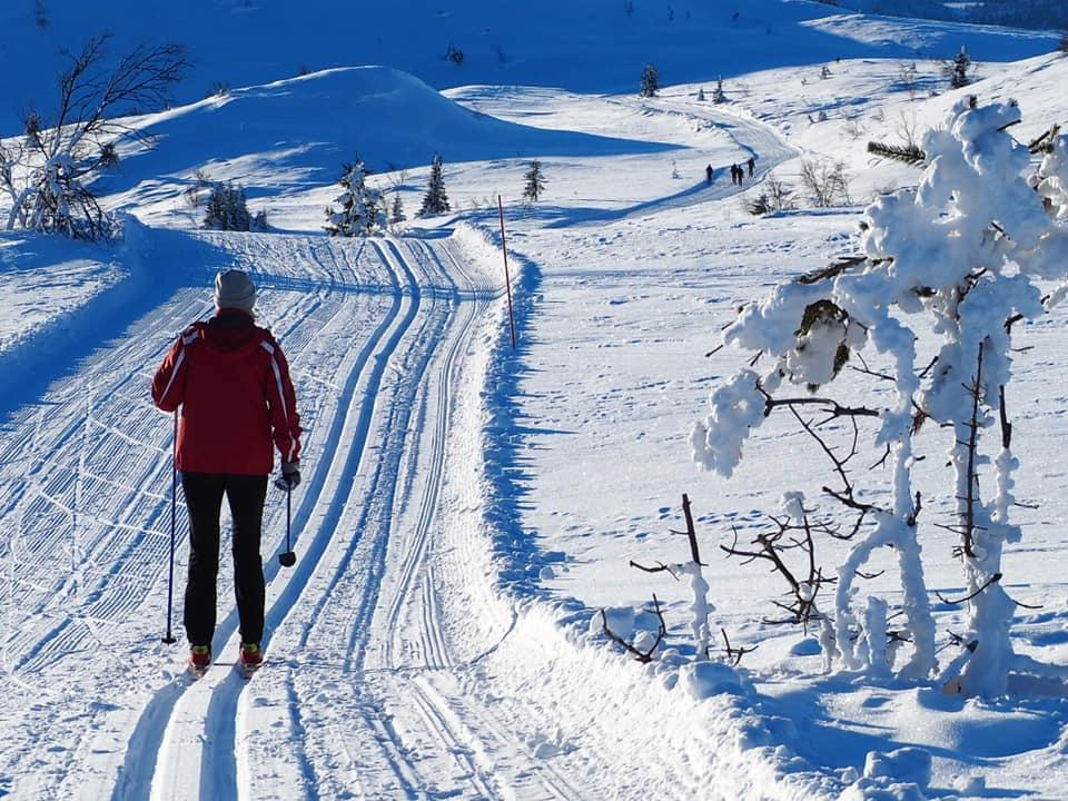 Selgers bilde Galleribilde