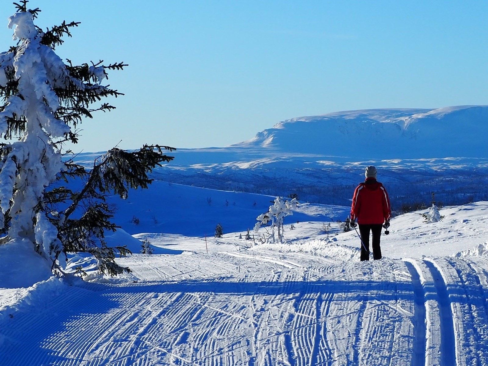 Selgers bilde Galleribilde