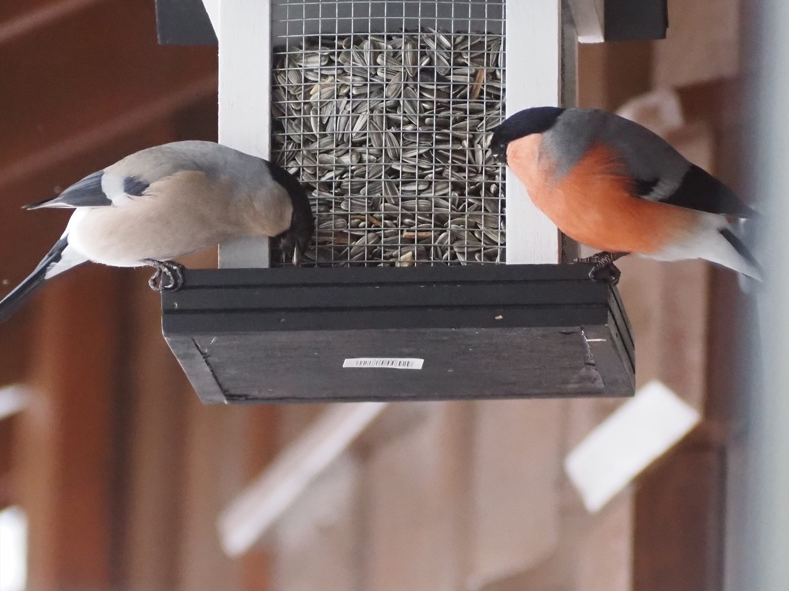 Selgers bilde Galleribilde