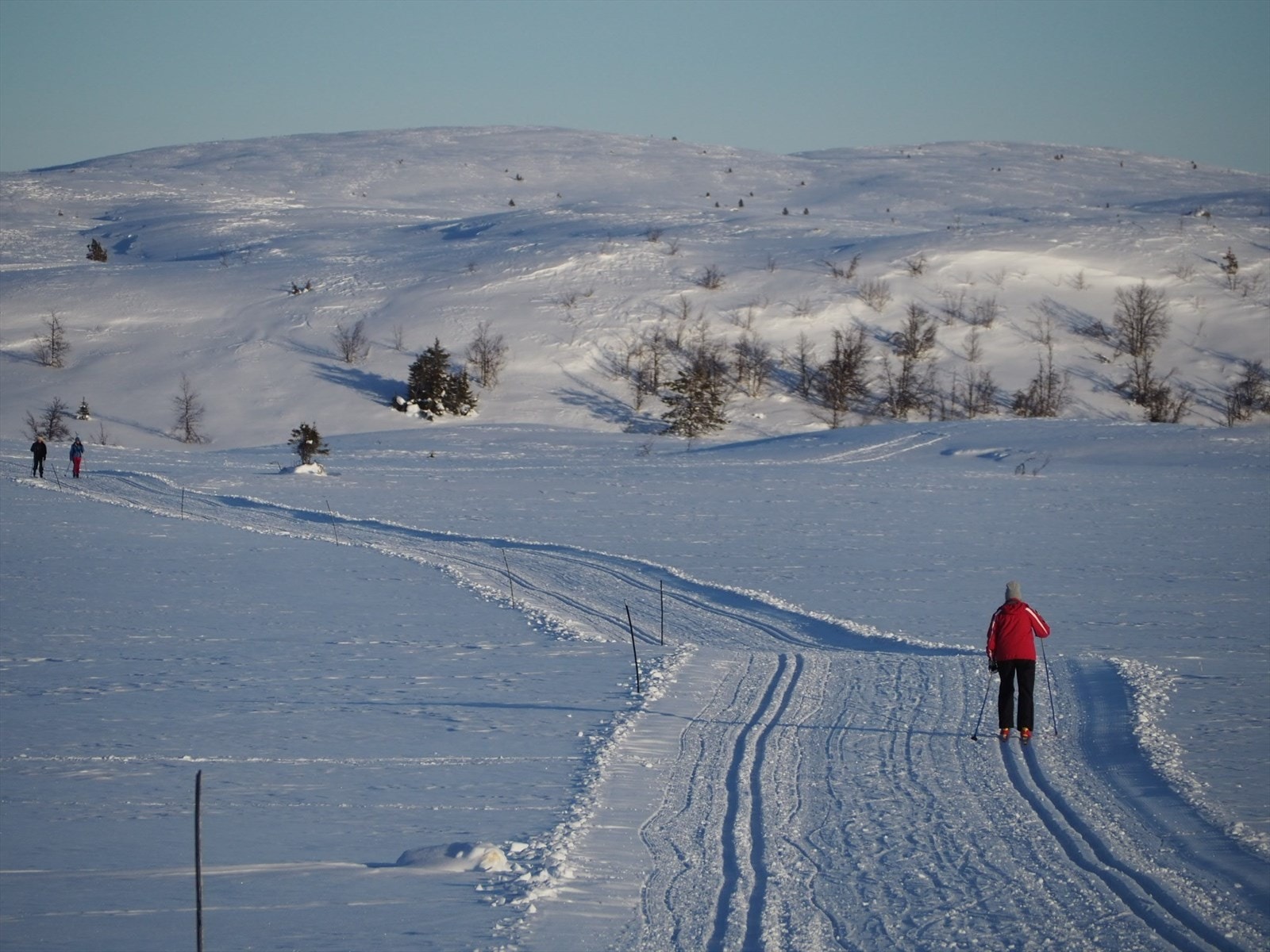 Selgers bilde Galleribilde