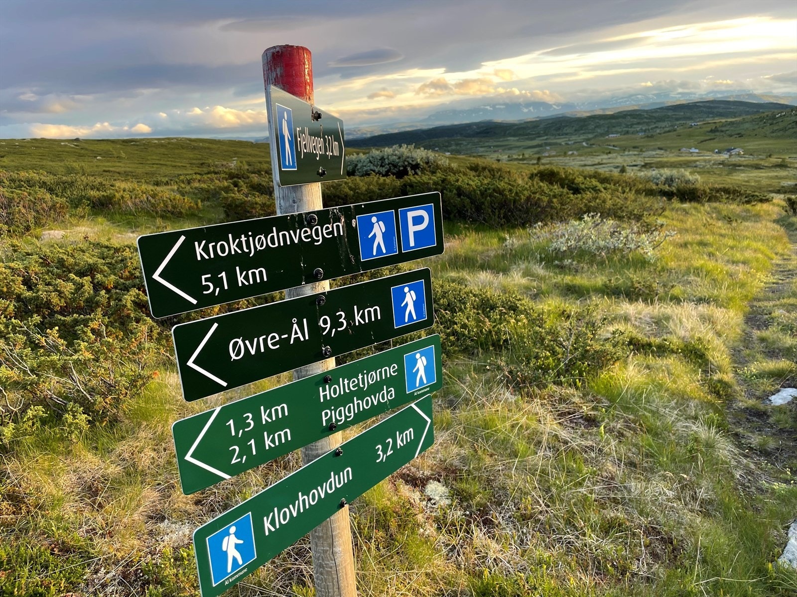 Selgers bilde Galleribilde