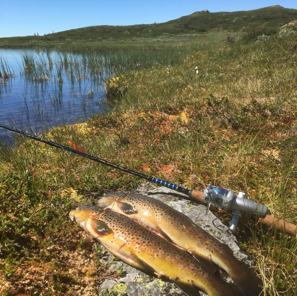 Selgers bilde Galleribilde