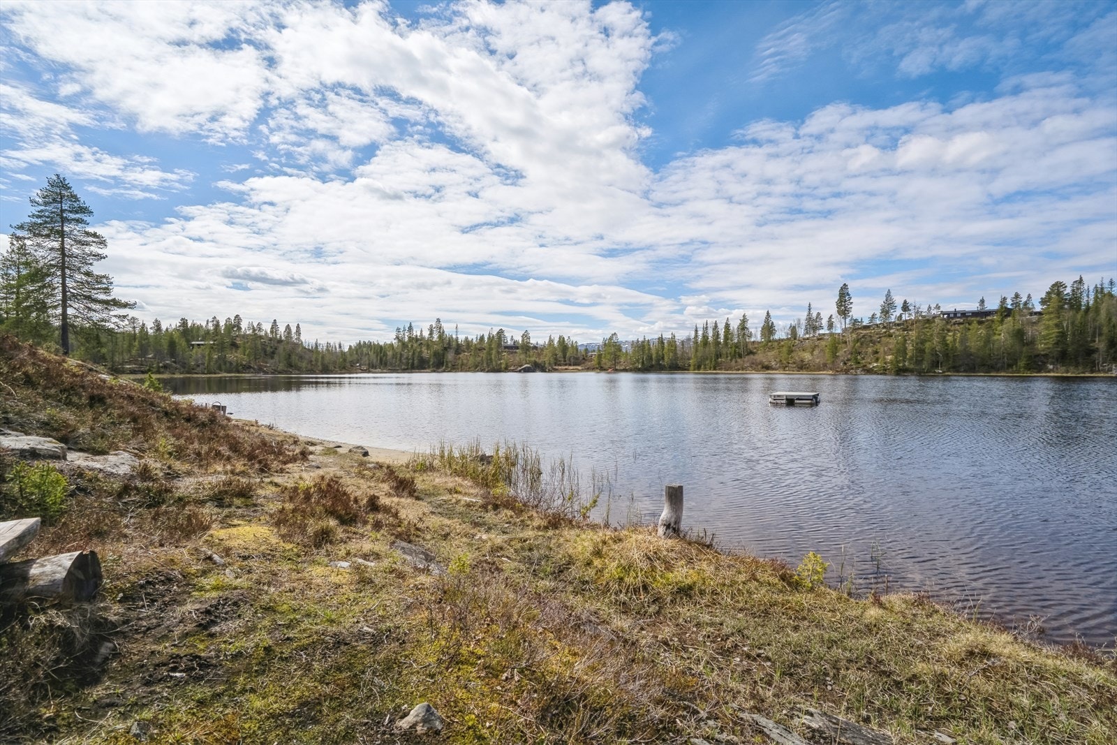 Fra Metjønn Galleribilde