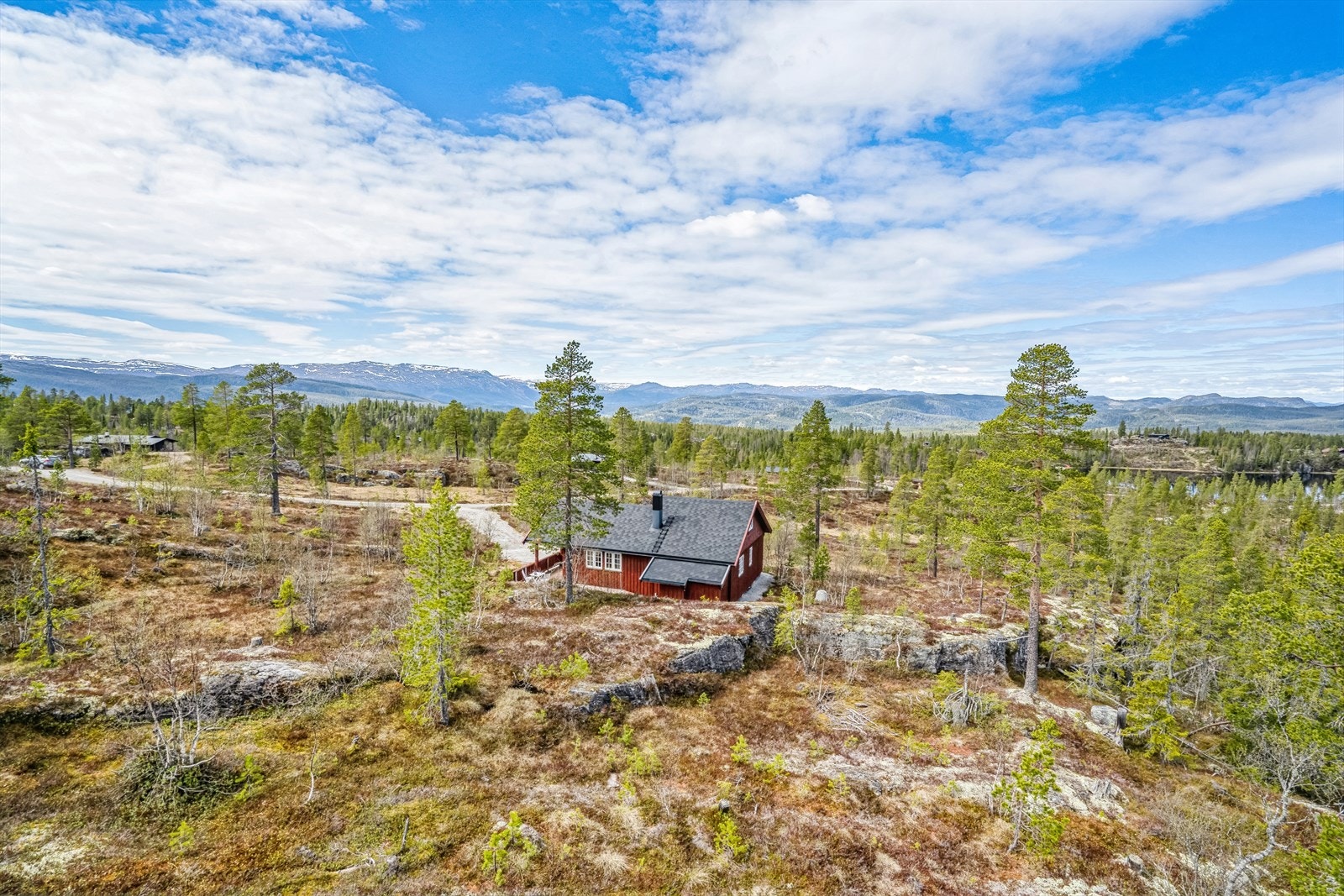 Velkommen til Kvisle Skog! Galleribilde