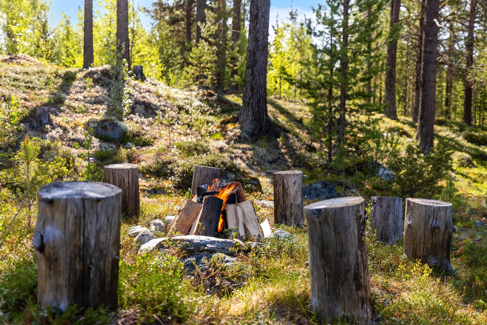 Tomten samt nærområdet byr på fine uteaktiviteter Galleribilde