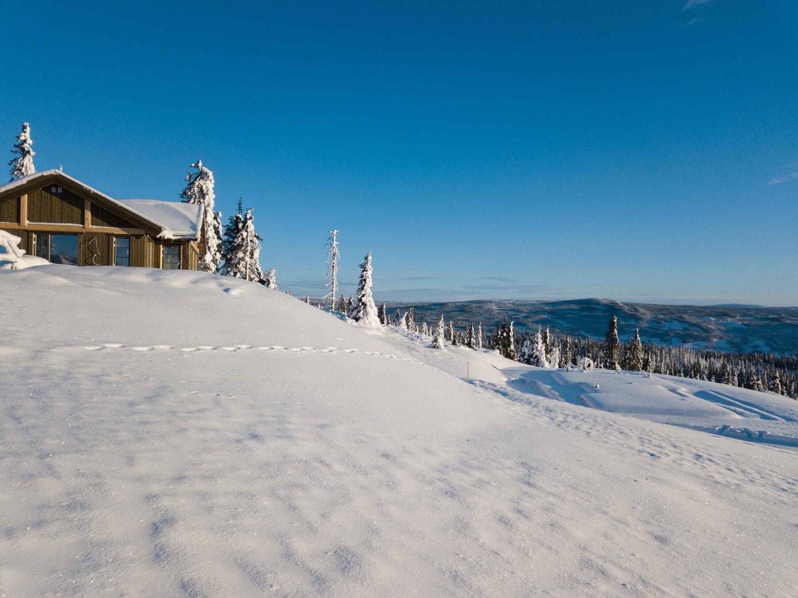 Utsikt fra tomta mot øst Galleribilde