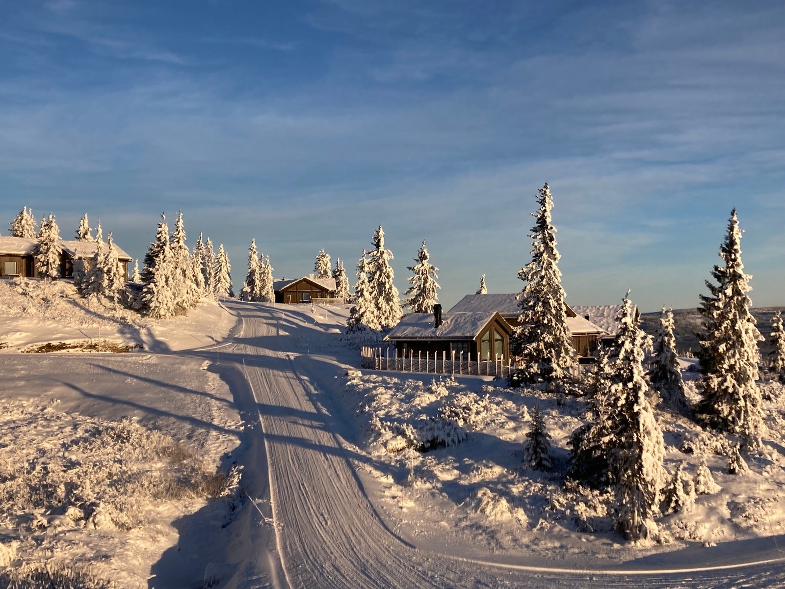 Foto fra veien opp til tomta. Galleribilde