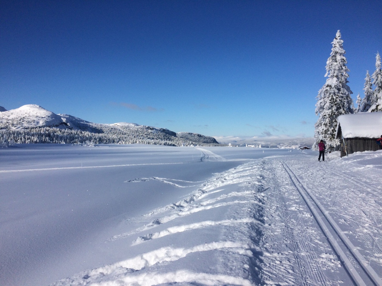 Fra Roåker setergrend - en fin tur fra hytteområdet Galleribilde