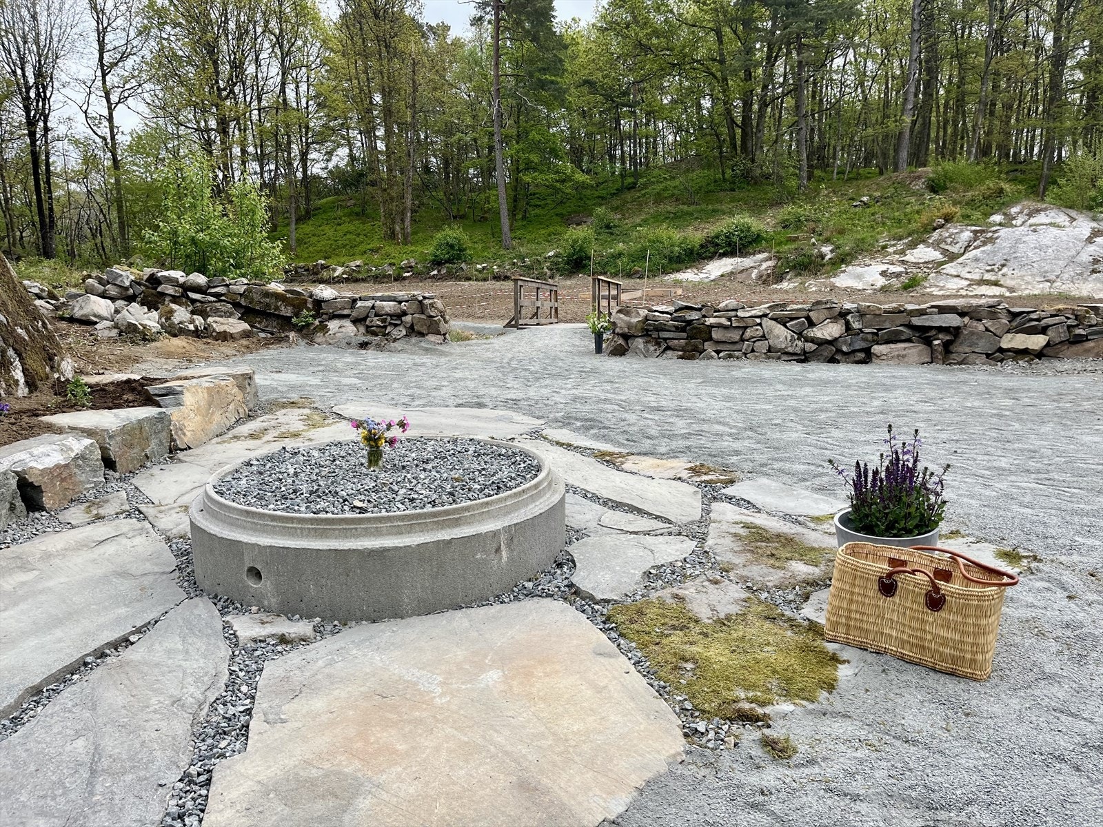 Sommerro parsellhage like ved tomtene Galleribilde