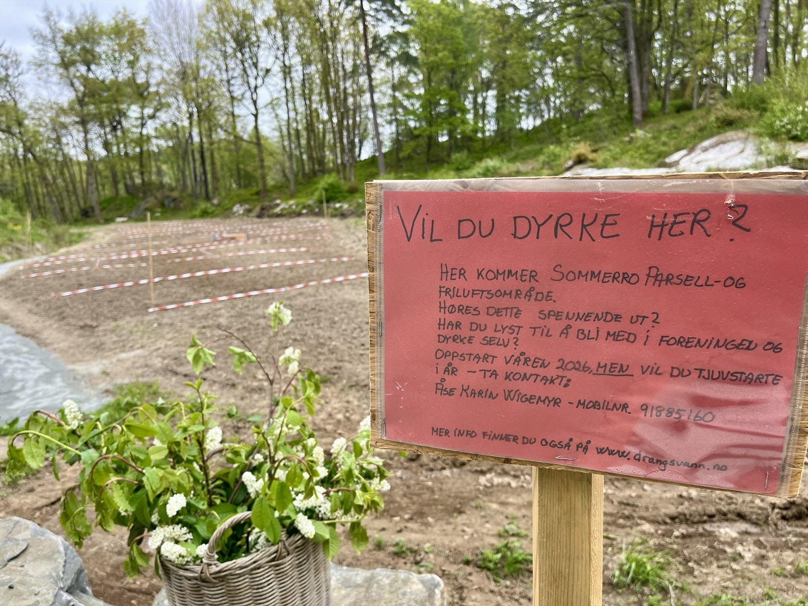 Sommerro parsellhage like ved tomtene Galleribilde