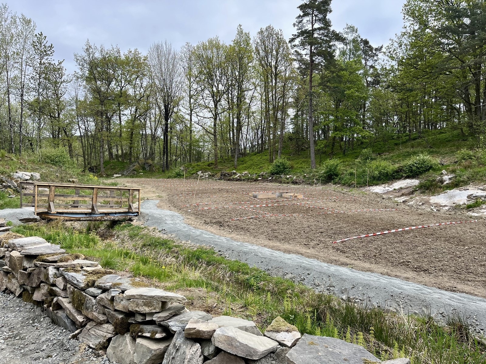 Sommerro parsellhage like ved tomtene Galleribilde