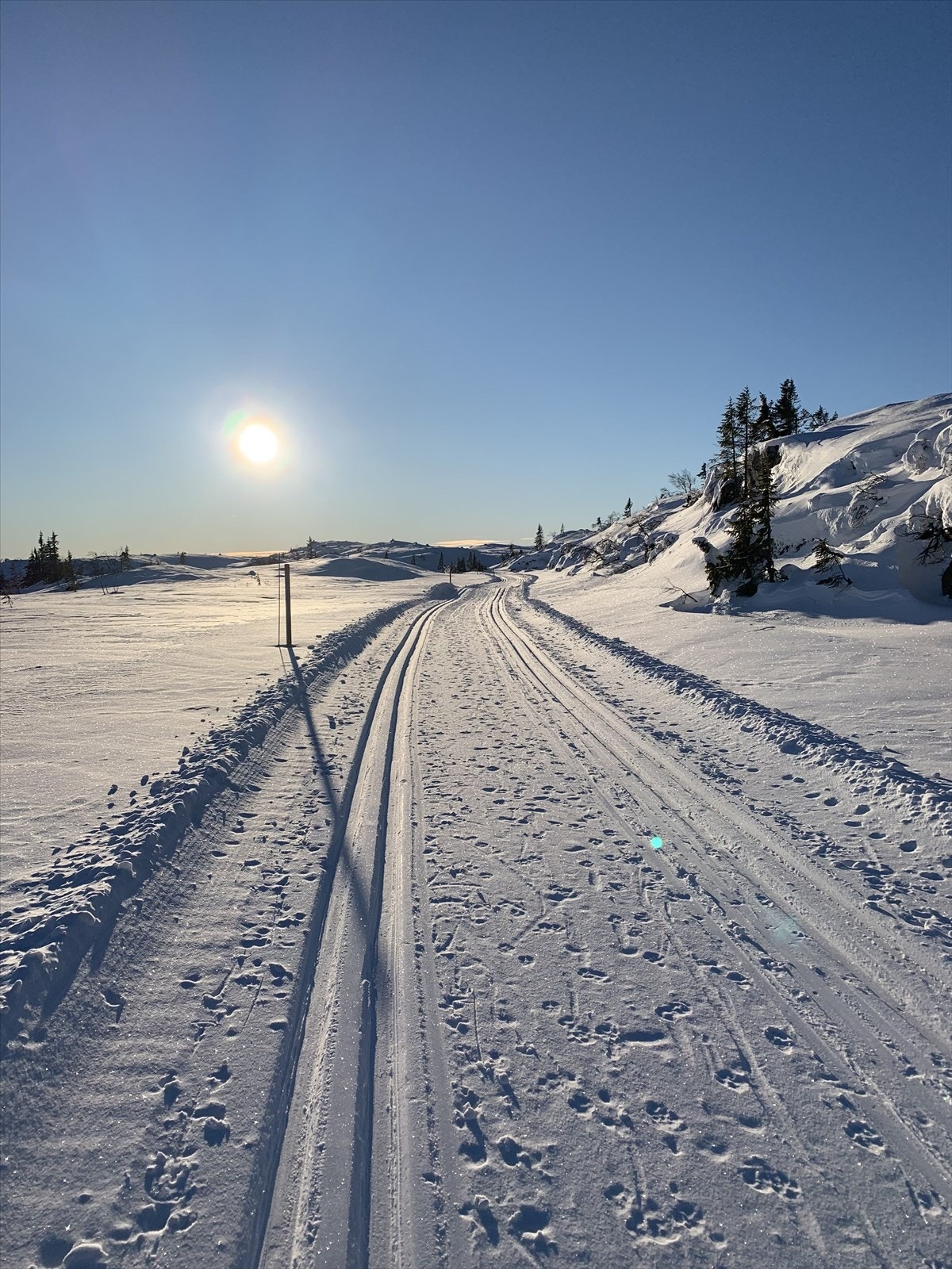 Selgers private bilder Galleribilde