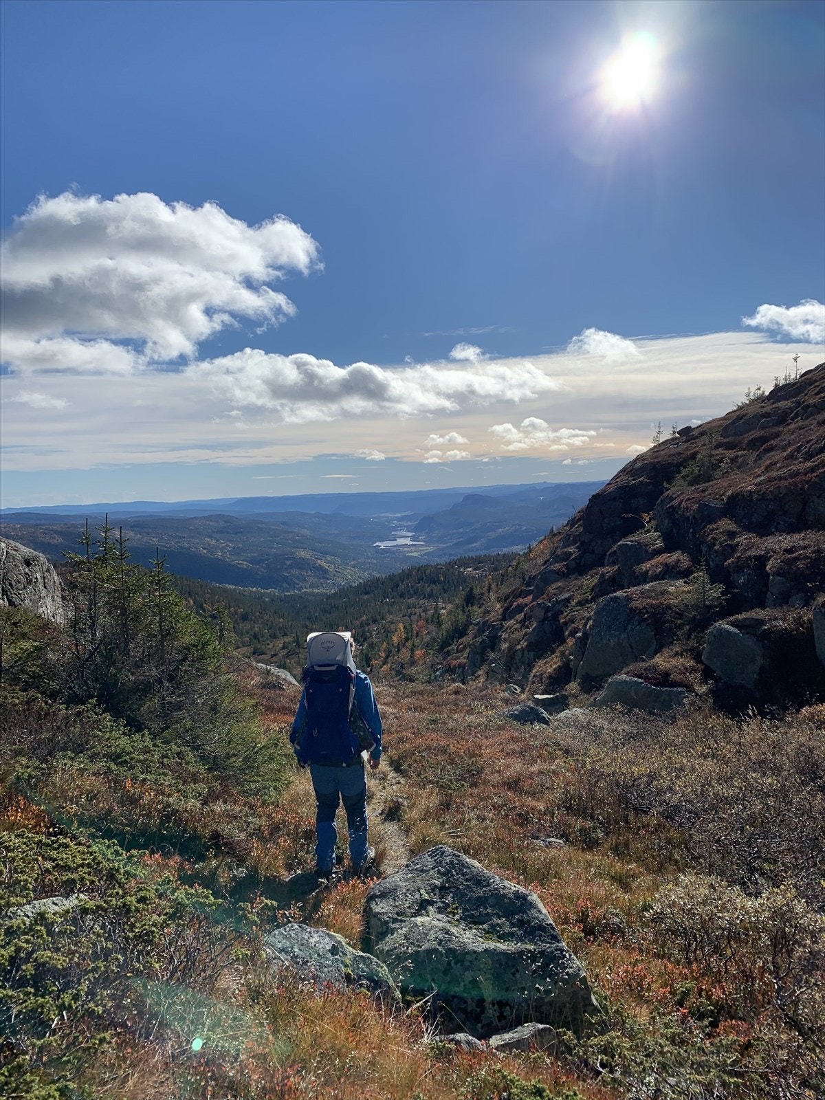 Selgers private bilder Galleribilde