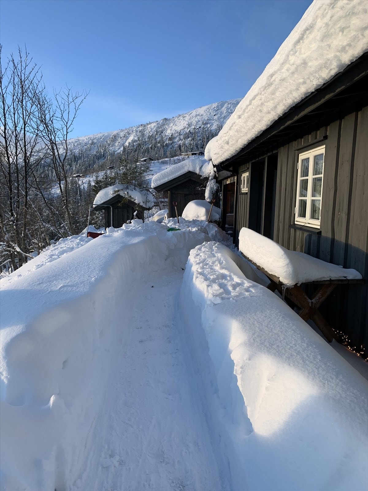 Selgers private bilder Galleribilde