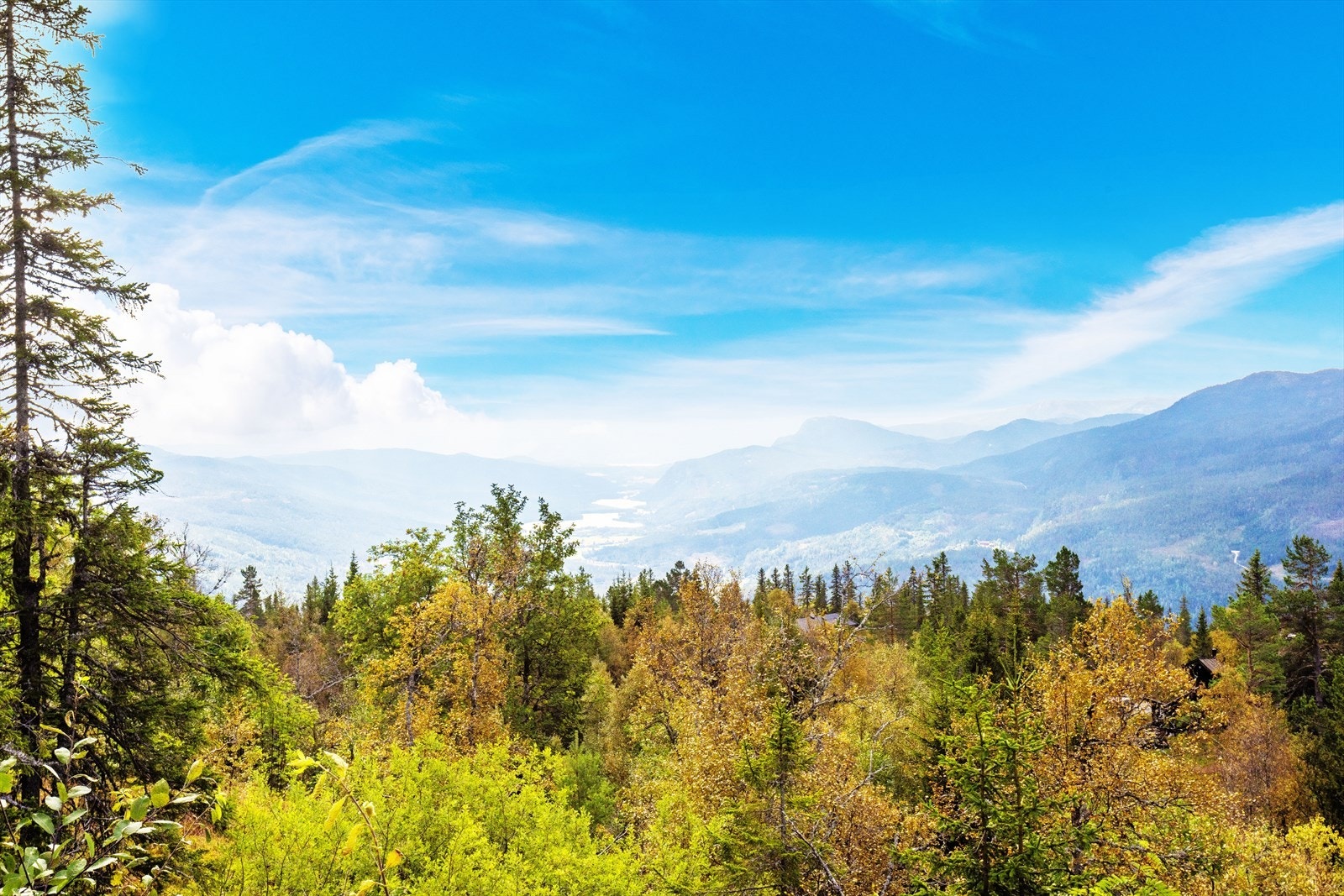 Velkommen til visning! Galleribilde