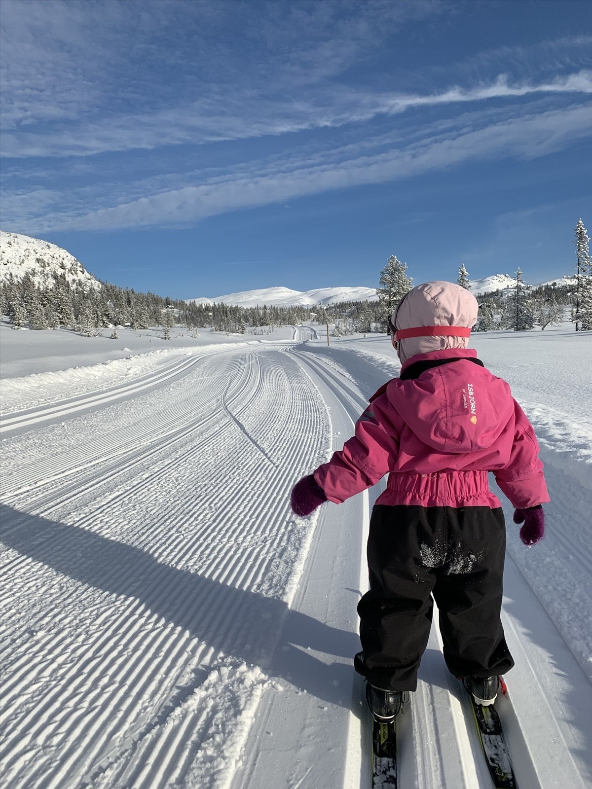 Selgers private bilder Galleribilde