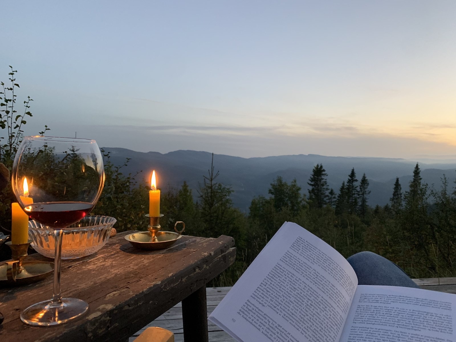 Selgers private bilder Galleribilde