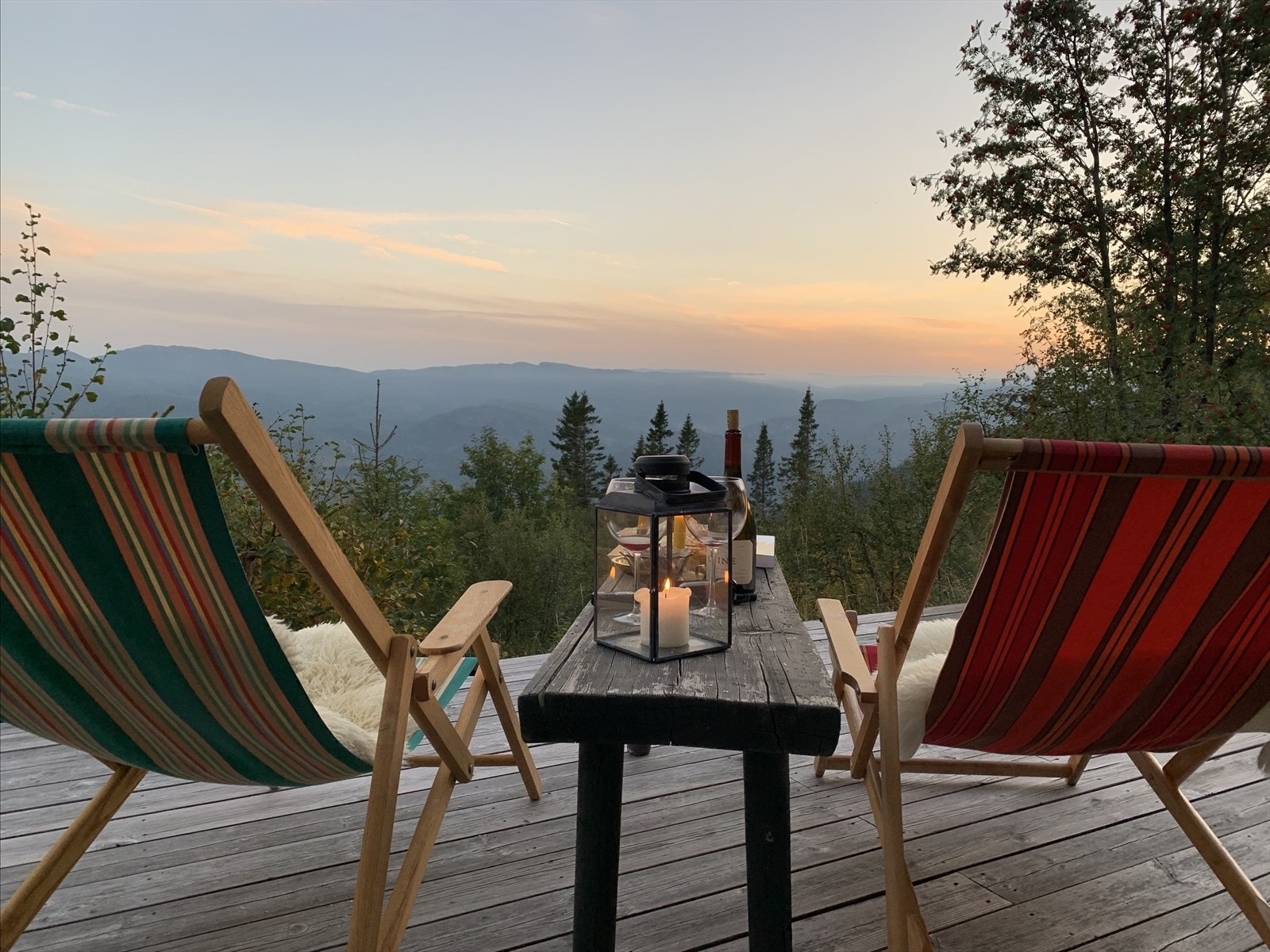 Selgers private bilder Galleribilde