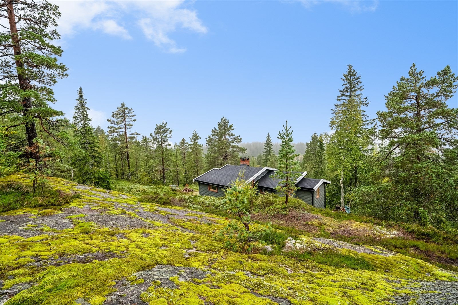 Hytta ligger adskilt fra støy Galleribilde