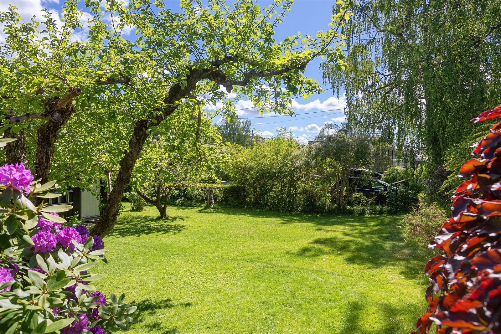 Meget pent opparbeidet tomt med trær, busker og flotte grøntområder Galleribilde